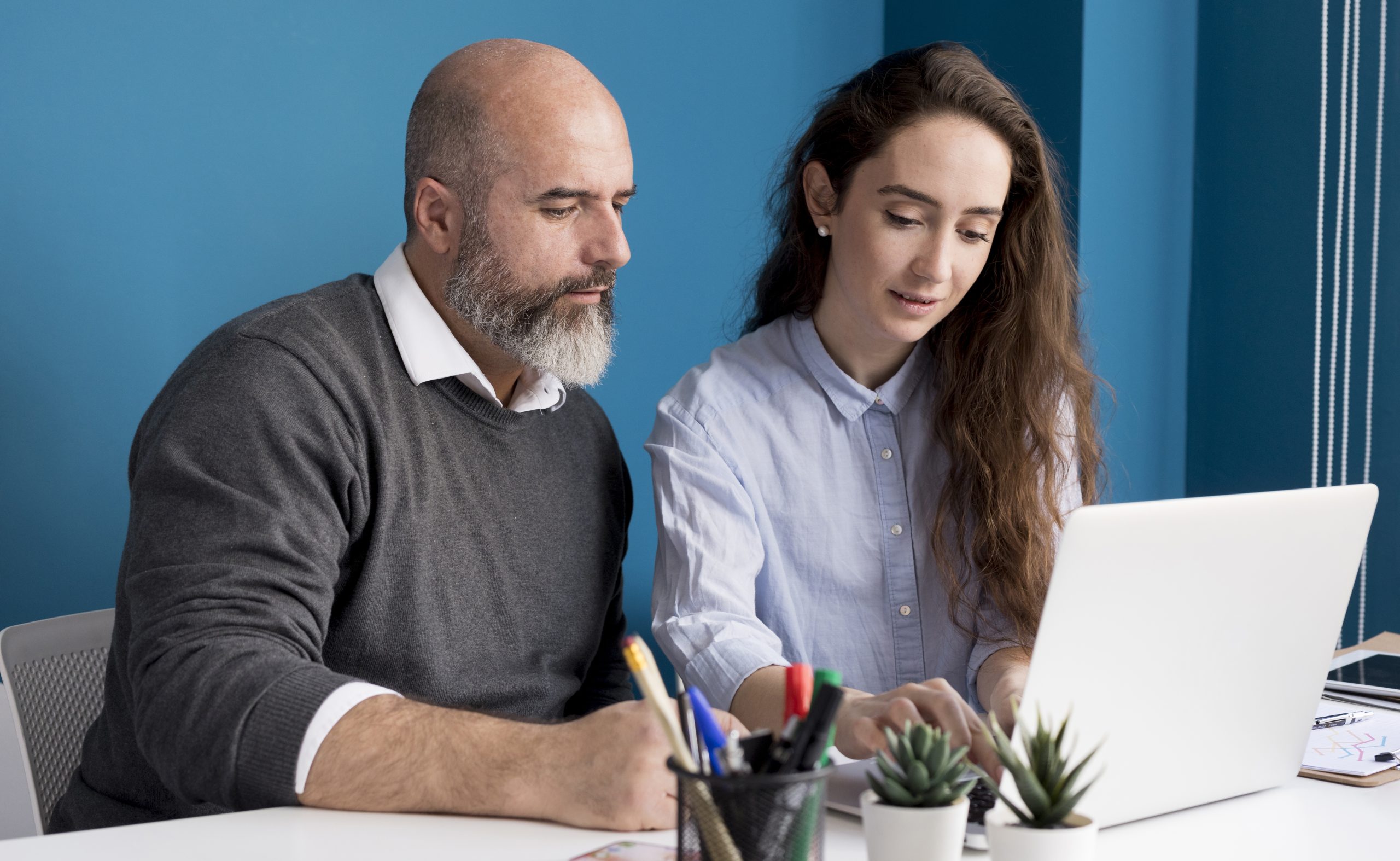 What exactly does a mentor do at Visa Startup?